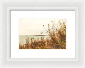 Scottish coastline - Framed Print