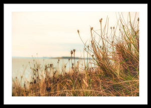 Scottish coastline - Framed Print