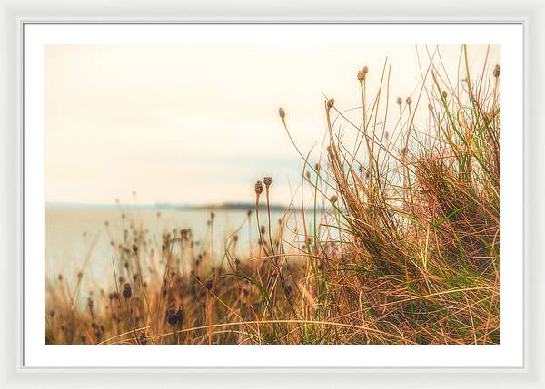 Scottish coastline - Framed Print