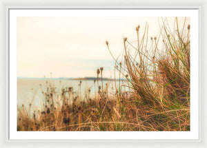 Scottish coastline - Framed Print