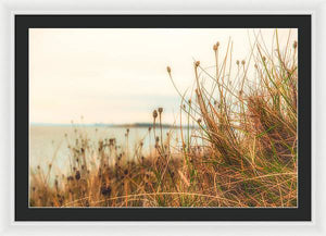 Scottish coastline - Framed Print