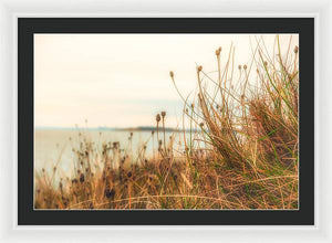 Scottish coastline - Framed Print