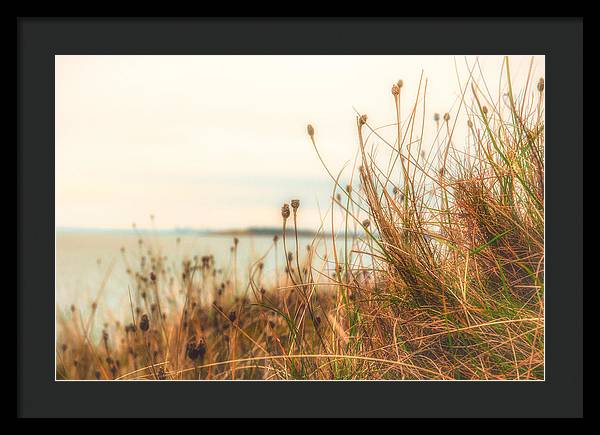 Scottish coastline - Framed Print