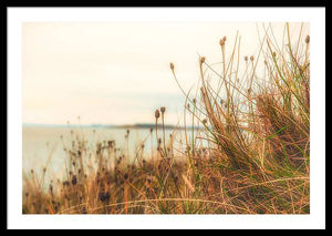 Scottish coastline - Framed Print