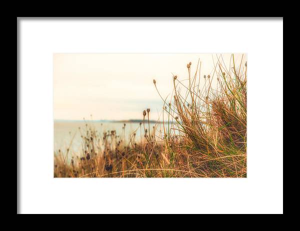 Scottish coastline - Framed Print