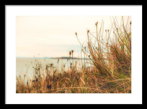 Scottish coastline - Framed Print