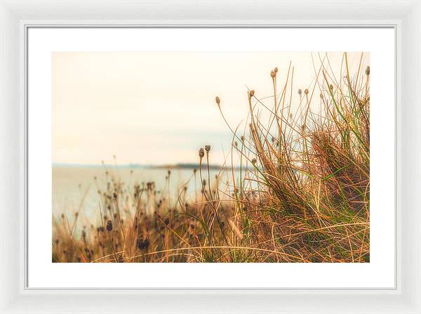 Scottish coastline - Framed Print