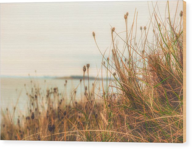 Scottish coastline - Wood Print