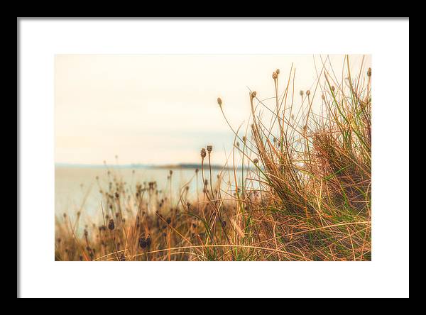 Scottish coastline - Framed Print