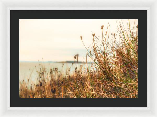 Scottish coastline - Framed Print