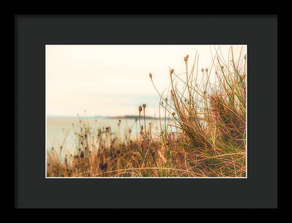 Scottish coastline - Framed Print