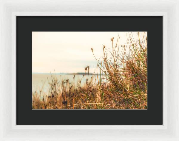 Scottish coastline - Framed Print