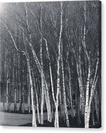 Load image into Gallery viewer, Silver Trees - Canvas Print
