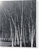 Load image into Gallery viewer, Silver Trees - Canvas Print

