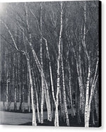 Load image into Gallery viewer, Silver Trees - Canvas Print
