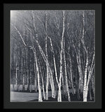 Load image into Gallery viewer, Silver Trees - Framed Print
