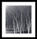 Load image into Gallery viewer, Silver Trees - Framed Print
