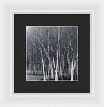 Load image into Gallery viewer, Silver Trees - Framed Print
