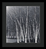 Load image into Gallery viewer, Silver Trees - Framed Print
