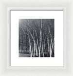 Load image into Gallery viewer, Silver Trees - Framed Print
