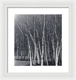 Load image into Gallery viewer, Silver Trees - Framed Print

