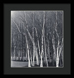 Load image into Gallery viewer, Silver Trees - Framed Print
