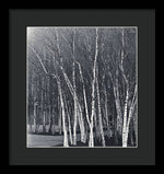 Load image into Gallery viewer, Silver Trees - Framed Print
