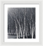 Load image into Gallery viewer, Silver Trees - Framed Print
