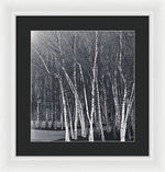 Load image into Gallery viewer, Silver Trees - Framed Print
