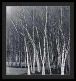 Load image into Gallery viewer, Silver Trees - Framed Print
