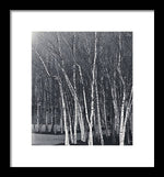 Load image into Gallery viewer, Silver Trees - Framed Print

