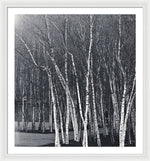 Load image into Gallery viewer, Silver Trees - Framed Print
