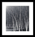 Load image into Gallery viewer, Silver Trees - Framed Print
