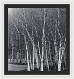Load image into Gallery viewer, Silver Trees - Framed Print
