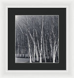 Load image into Gallery viewer, Silver Trees - Framed Print

