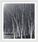 Load image into Gallery viewer, Silver Trees - Framed Print
