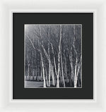 Load image into Gallery viewer, Silver Trees - Framed Print
