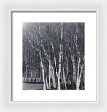 Load image into Gallery viewer, Silver Trees - Framed Print
