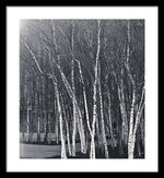 Load image into Gallery viewer, Silver Trees - Framed Print
