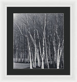 Load image into Gallery viewer, Silver Trees - Framed Print
