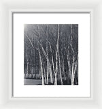 Load image into Gallery viewer, Silver Trees - Framed Print

