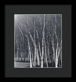 Load image into Gallery viewer, Silver Trees - Framed Print
