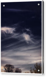 Load image into Gallery viewer, Sky Wisps planes and trees - Acrylic Print
