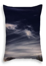 Load image into Gallery viewer, Sky Wisps planes and trees - Throw Pillow
