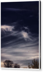 Load image into Gallery viewer, Sky Wisps planes and trees - Acrylic Print
