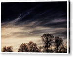 Load image into Gallery viewer, SkyScapes - Canvas Print
