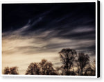 Load image into Gallery viewer, SkyScapes - Canvas Print

