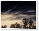Load image into Gallery viewer, SkyScapes - Canvas Print
