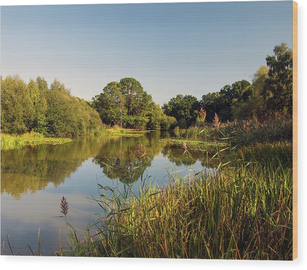 Southampton Ornamental Pond - Wood Print