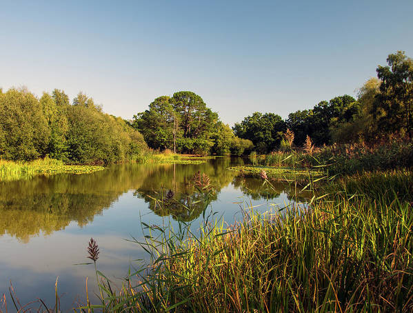 Southampton Ornamental Pond - Art Print